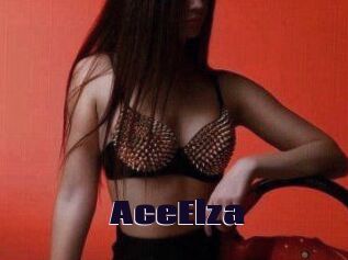 Ace_Elza