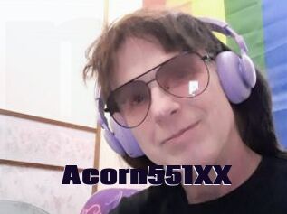 Acorn551XX