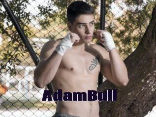 AdamBull