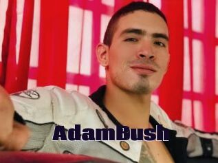 AdamBush