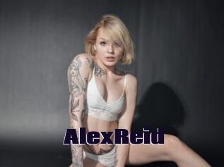 AlexReid