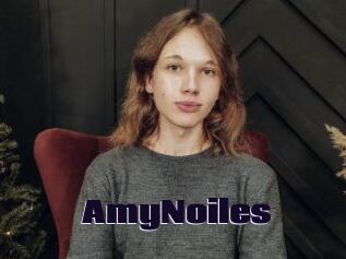 AmyNoiles