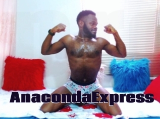 AnacondaExpress Prolap Sex