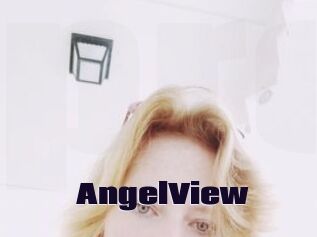 AngelView