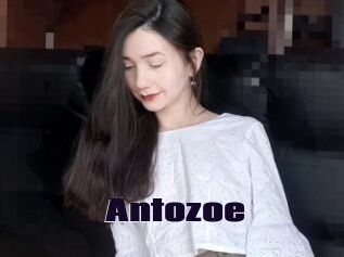 Antozoe