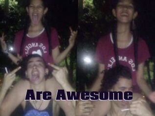 Are_Awesome