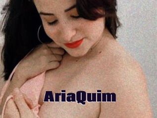 AriaQuim