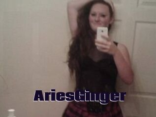 AriesGinger