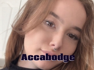 Accabodge