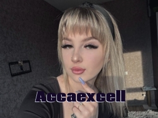 Accaexcell
