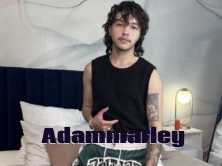 adammarley Prolap Sex