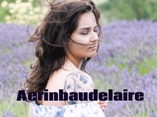 Aerinbaudelaire