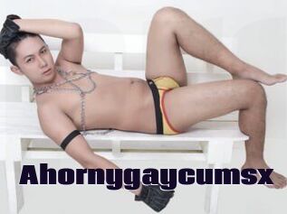 Ahornygaycumsx