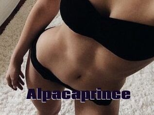 AlpacaPrince