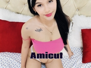 Amicut