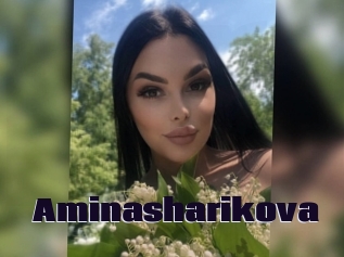 Aminasharikova