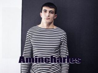 Amincharles