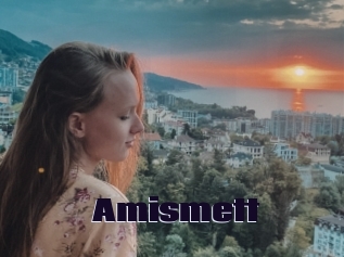 Amismett