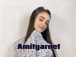 Amityarnet