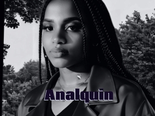 Analquin