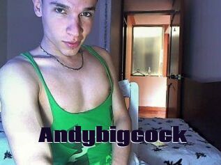 Andybigcock