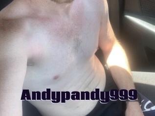 Andypandy999