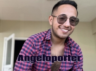 Angeloporter