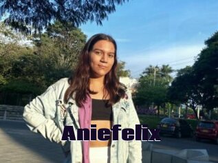 Aniefelix