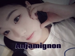 Anjamignon