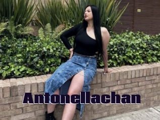 Antonellachan