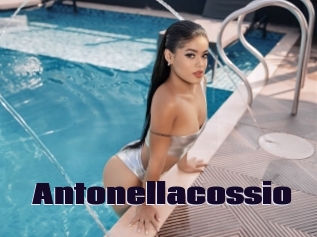 antonellacossio Prolap Sex