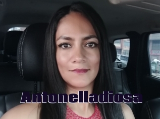 Antonelladiosa