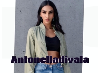Antonelladivala