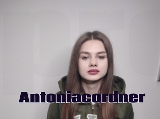 Antoniacordner