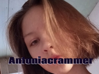 Antoniacrammer