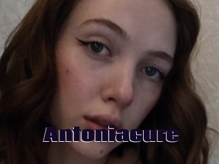 Antoniacure