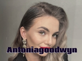 Antoniagoodwyn