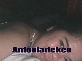 Antoniarieken