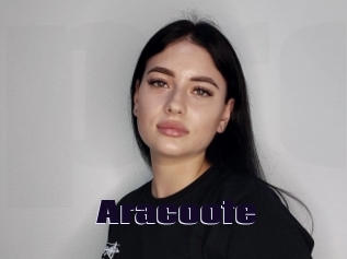 Aracoote