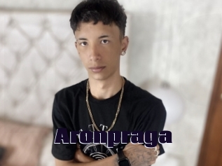 Aronpraga