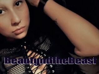 BeautyndtheBeast