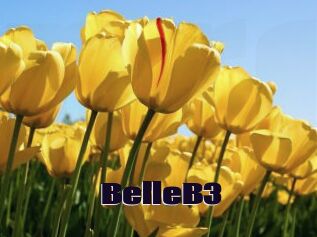 BelleB3