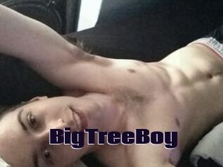 BigTreeBoy