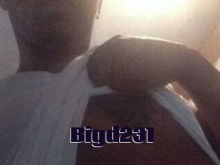 Bigd231