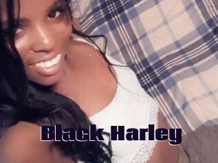 Black_Harley