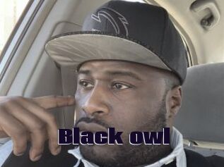Black_owl