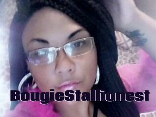 BougieStallionest