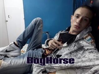 BoyHorse
