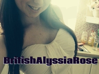 BritishAlyssiaRose