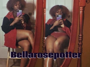 Bellarosepotter